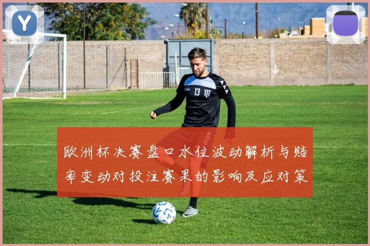欧洲杯决赛盘口水位波动解析与赔率变动对投注赛果的影响及应对策略