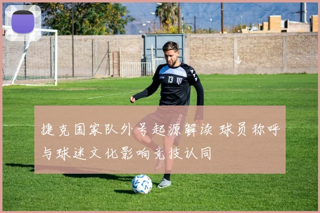 捷克国家队外号起源解读 球员称呼与球迷文化影响竞技认同