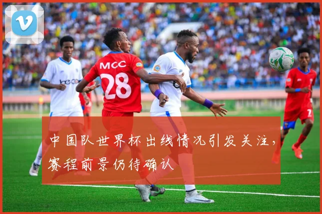 中国队世界杯出线情况引发关注，赛程前景仍待确认